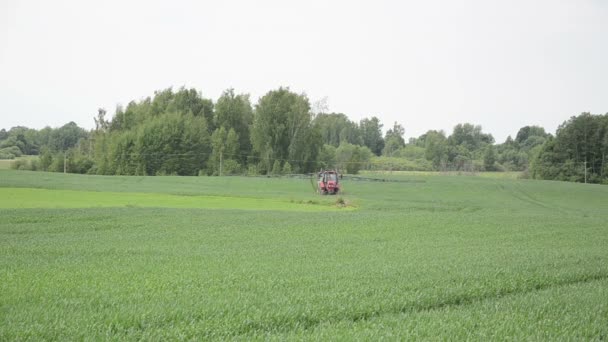 Tractor de granja monta cultivos jóvenes para fertilizar los campos de plagas
 - Imágenes, Vídeo