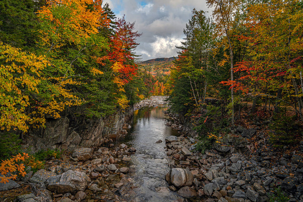 Jesień nad rzeką Swift w New Hampshire - Zdjęcie, obraz