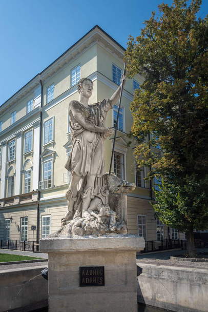 Adonis Fountain in Rynok Square - built around 1810 - Lviv, Ukraine - Photo, Image