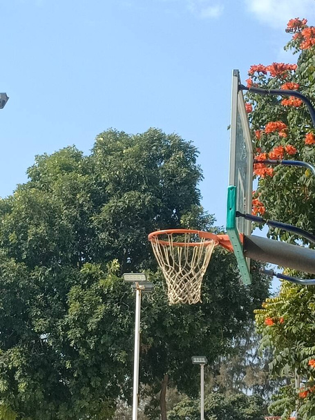 basketball hoop in the park - Фото, изображение