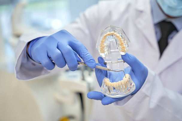 Tandheelkundige specialsit aanraken model van tanden met pick - Foto, afbeelding