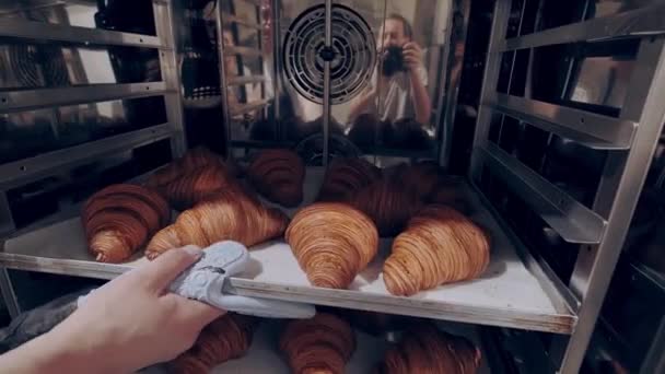 Baker takes freshly baked almond filled croissants out of the oven. Baking process - Footage, Video
