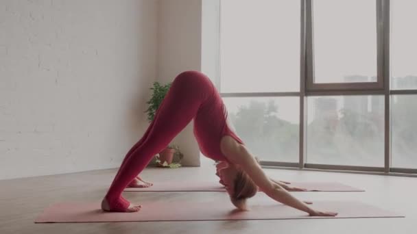 Schöner Yoga. Zwei junge Frauen in roten Sportuniformen bei Adho Mukha Svanasana im Yoga-Studio. - Filmmaterial, Video