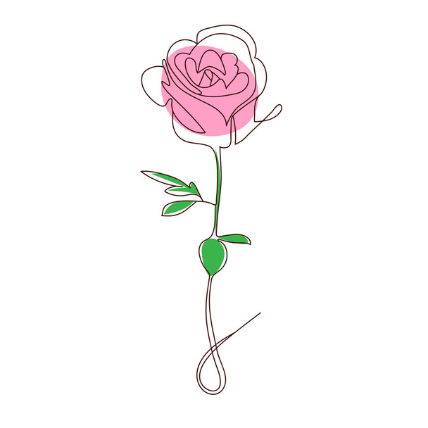 Continuous line drawing of rose flower minimalism design - Zdjęcie, obraz