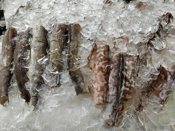 Λεττονία, Ρίγα, 15.05.2021.Θαλασσινά ψάρια στον πάγο.  - Φωτογραφία, εικόνα