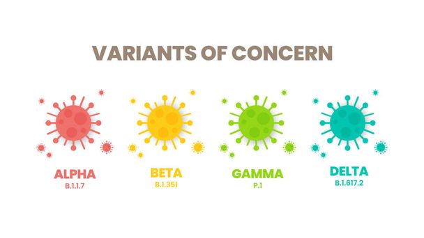 A COVID-19 vírus új aggodalom-változatának (VOC) illusztrátor vektora. Az eredeti vírus mutálódott változata. Az Alpha, Beta, Gamma és Delta variációk színes infografikája. - Vektor, kép
