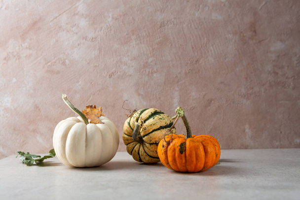 Three pumpkins on light table copy space autumn harvest concept - Foto, Imagem