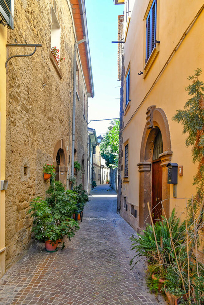 Aleja Arnara, średniowieczne miasto regionu Lacjum, Włochy. - Zdjęcie, obraz