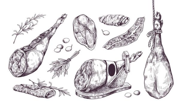 Hand drawn jamon. Special Spanish leg ham. Isolated delicious meat sketch. Pork slices with rosemary and olive. Prosciutto black and white drawing. Vector restaurant menu illustration - Vektori, kuva
