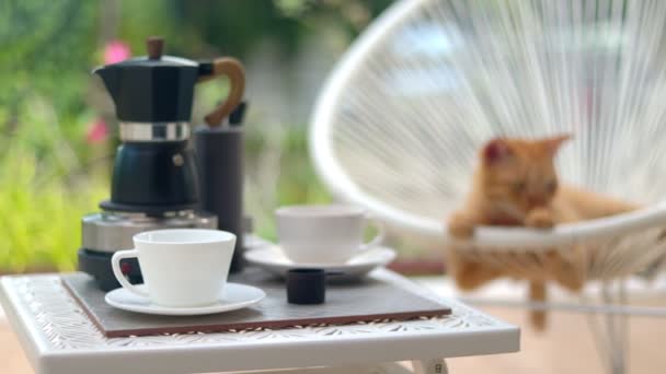 Καφές μπάτσος και γάτα χαλάρωση σε πλαστική καρέκλα μπαστούνι - Πλάνα, βίντεο