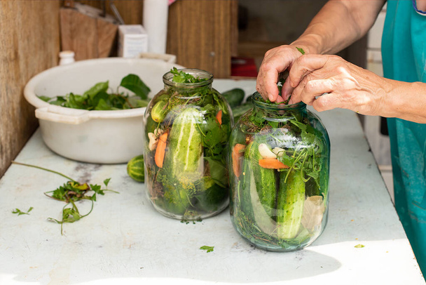 Preparation of canned cucumbers or fermented cucumbers in glass jars. Ingredients for pickling cucumbers. Cucumbers, dill, garlic. Glass jars with pickles. Processing of the autumn harvest.  - Photo, Image