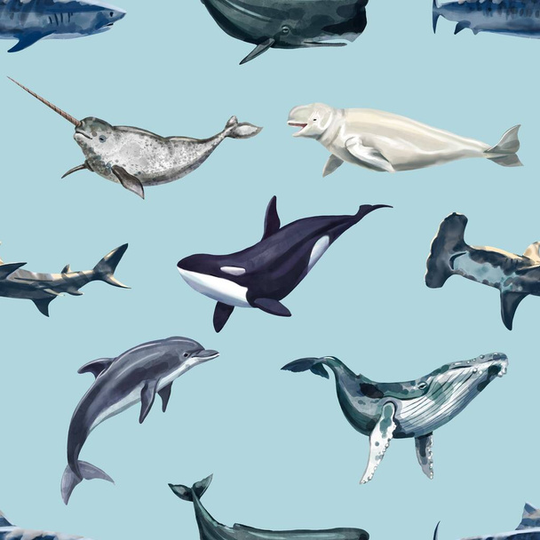 Baleias aquarela sem costura padrão. Golfinhos, Orca, Narval, Beluga, Baleias e Tubarão - Foto, Imagem