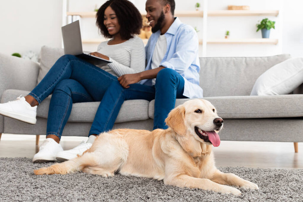 Μαύρο ζευγάρι στο σπίτι χρησιμοποιώντας φορητό υπολογιστή χαλαρώνοντας με το σκυλί - Φωτογραφία, εικόνα