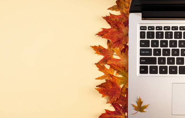 赤と黄色の落ち葉、ラップトップとのワークスペース。居心地の良いオフィスベージュのデスクのトップビュー。秋の背景 - 写真・画像