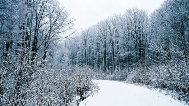 Die weiße märchenhafte Landschaft eines Zauberwaldes mit einer verschneiten Straße in den warmen Strahlen der aufgehenden Sonne. - Foto, Bild