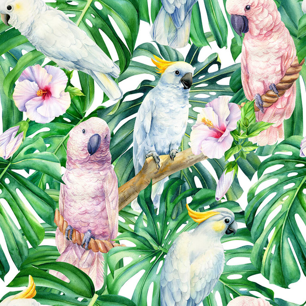 Tropical birds, cockatoo parrot, exotic plants jungle, hibiscus flowers, seamless pattern, palm background - Photo, Image