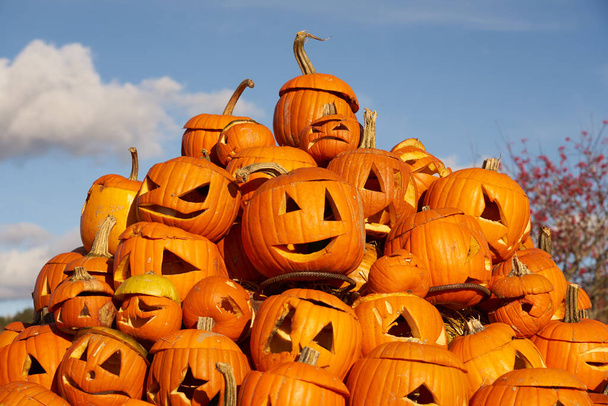 A heap of halloween pumpkins against a blue sky - 写真・画像