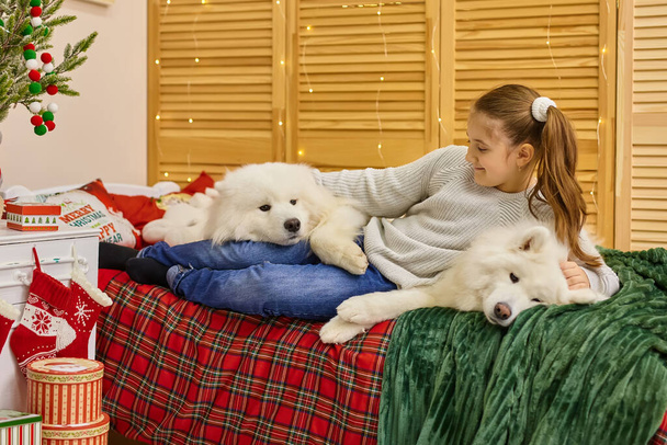Lächelndes, verspieltes kleines Mädchen mit großen weißen, flauschigen Samojeden-Hunden zu Hause, im Kinderzimmer zu Weihnachten - Foto, Bild