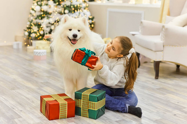 Enfant de Noël câlin chien Samoyed. Noël, hiver et concept de personnes. Carte de voeux de Noël. Bonne année. Nouvel An à la maison - Photo, image