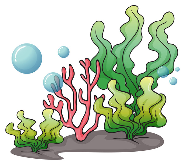 Морские водоросли под водой
 - Вектор,изображение