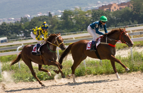 Course de chevaux
 - Photo, image
