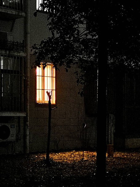 lantern in the night sky - Zdjęcie, obraz