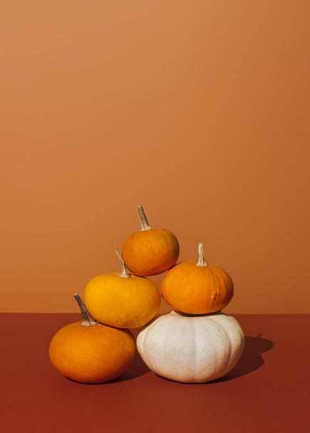 Colorful Halloween. Autumn pumpkins against brown background in sunlight. Modern minimal thanksgiving concept. - Foto, Bild