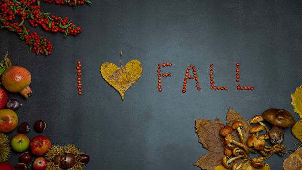 Φθινόπωρο επίπεδη θέσει, επιγραφή Αγαπώ το φθινόπωρο σε μαύρο φόντο διακοσμημένα με φρούτα του φθινοπώρου, μανιτάρια, άγρια μούρα, μήλα - Φωτογραφία, εικόνα