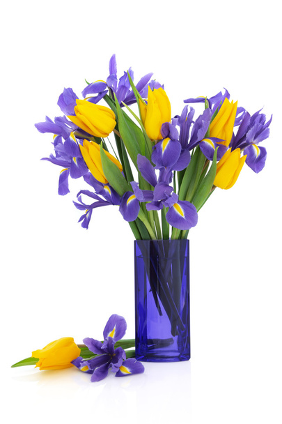 Iris e Tulipa Flores
 - Foto, Imagem