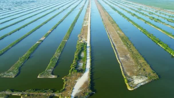 Vue aérienne des canaux en Floride
 - Séquence, vidéo