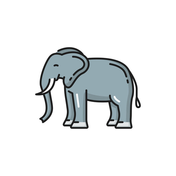 Thailand dier witte olifant geïsoleerde kleur lijn pictogram. Vector Afrikaanse bush bos Aziatische olifanten, Thaise fauna symbool, grote bedreigde zoogdier. Safari Afrikaanse olifant met slurf en twee slagtanden - Vector, afbeelding