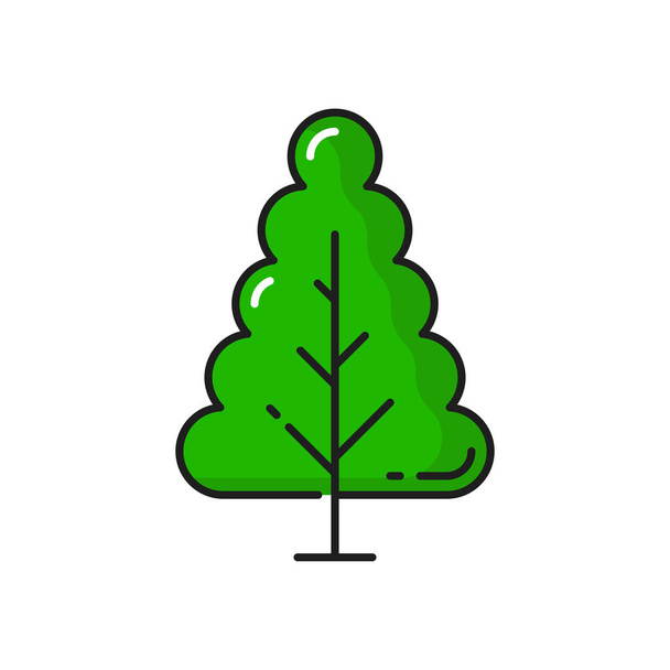 Green tree forest plant isolated thin line icon. Vector botanical spring or summer decorative environment object, landscape and garden architecture element. Greenery, ecology and save nature symbol - Vector, Image