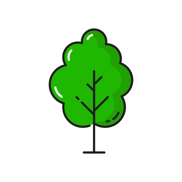 緑の木の漫画の森の植物の細い線のアイコンを隔離した。ベクトル景観と庭園建築要素、緑、生態系と自然シンボルを保存します。植物春や夏の環境装飾オブジェクト - ベクター画像