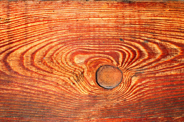Дерево текстури
 - Фото, зображення