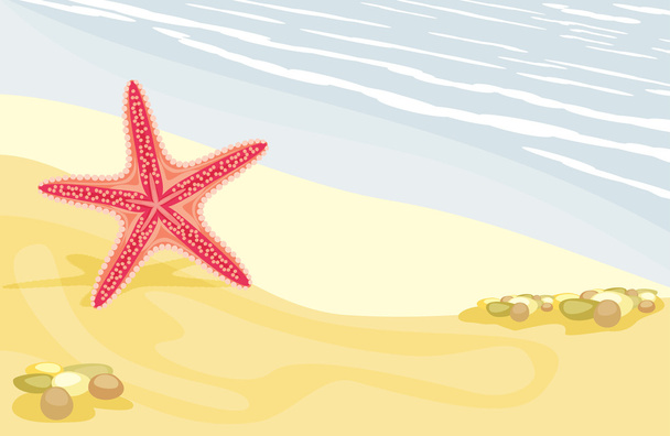 Starfish on the sandy beach - Vektori, kuva