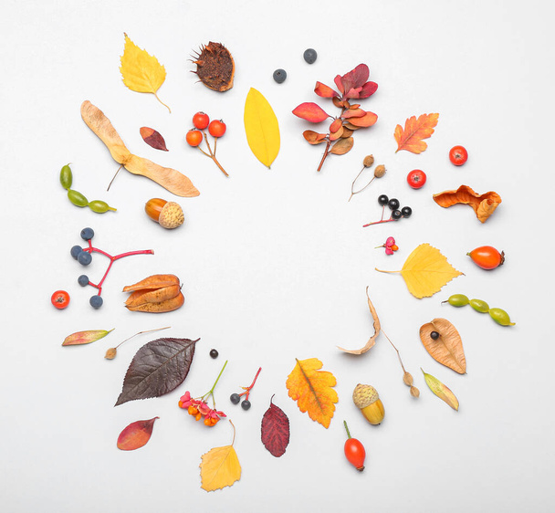 Frame made of autumn leaves and natural forest decor on white background - 写真・画像
