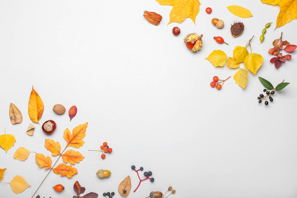 Podzimní kompozice s přírodním lesním dekorem na bílém pozadí, detailní záběr - Fotografie, Obrázek