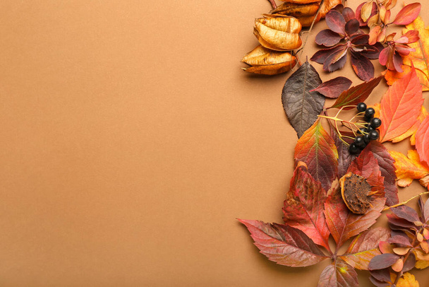 Décor naturel différent et feuilles d'automne sur fond de couleur, gros plan - Photo, image