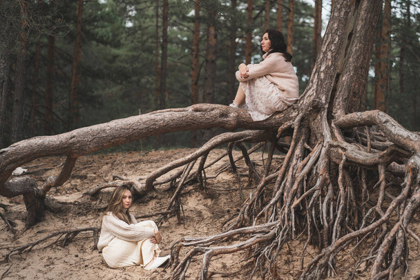 Conceptual photograph of brunettes among forest roots. Beautiful girls sit at the roots of trees and dream. Two friends walk in the woods and talk. - Photo, Image