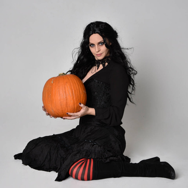 Full length portrait of dark haired woman wearing  black victorian witch costume  sitting pose wit ha pumpkin, with  gestural hand movements,  against studio background. - Foto, afbeelding