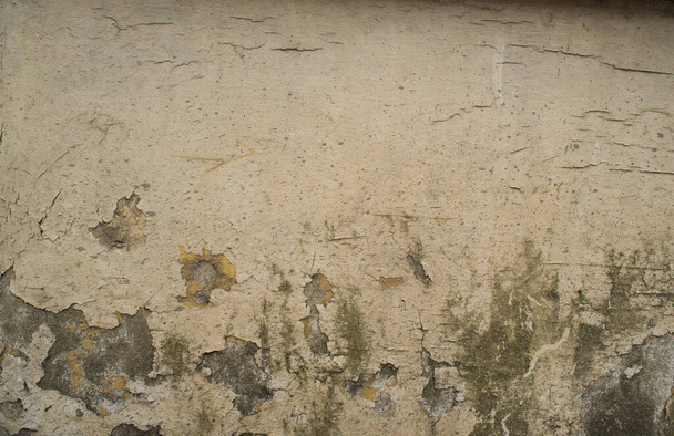 Damaged Plaster texture, cracked texture with fine detail High resolution. - Photo, Image