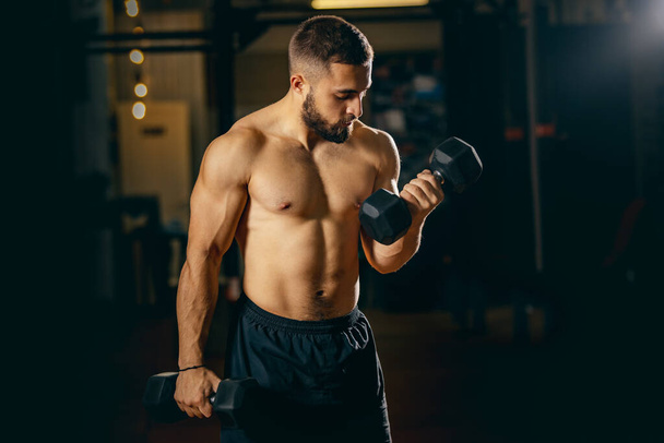 Cropped portrait of sportive man training in gym, lifting a dumbbell - Foto, Imagem