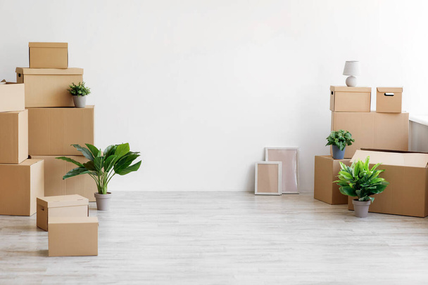 Hromada různých lepenkových krabic s věcmi a zelené rostliny v květináčích na podlaze na šedém pozadí zdi - Fotografie, Obrázek