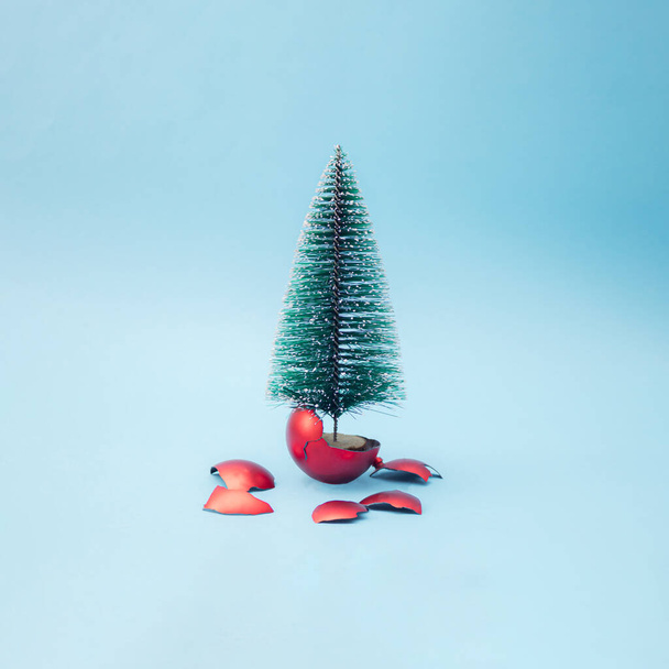 El árbol de Navidad sale de una bola roja rota. Fondo azul. Diseño y concepto de año nuevo mínimo. - Foto, Imagen