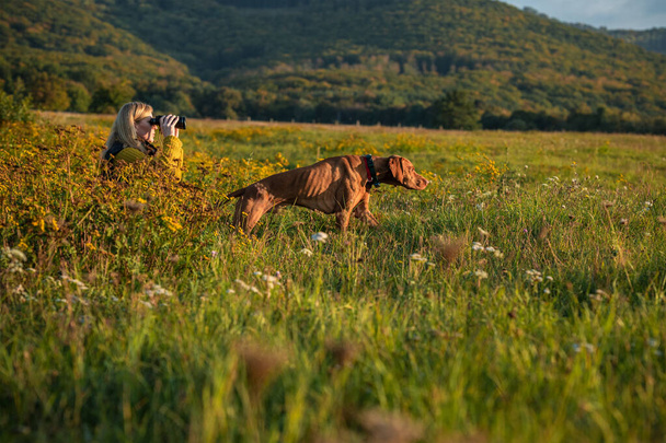 Young female hunter using binoculars for bird spotting with hungarian vizsla dog by her side, out in a meadow on a beautiful sunny autumn evening. Hunting with a hunting dog. - Photo, Image
