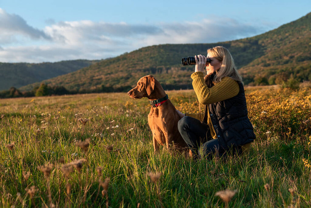Young female hunter using binoculars for bird spotting with hungarian vizsla dog by her side, out in a meadow on a beautiful sunny autumn evening. Hunting with a hunting dog. - Photo, Image