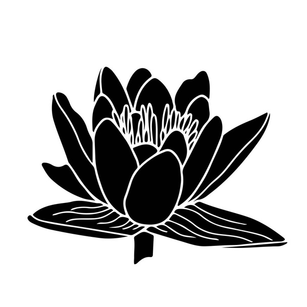 Water lily flower silhouette illustration. Isoalted on white background. - Vector, Image