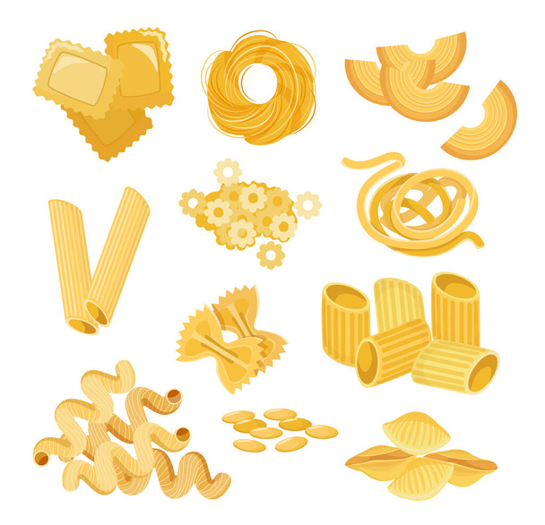 Set Pasta Types Quadretti, Nidi Di Roundine Tagltatelle, Cornetti Rigati y Penne. Stelle, Filini, Farfalle, Canelone - Vector, imagen