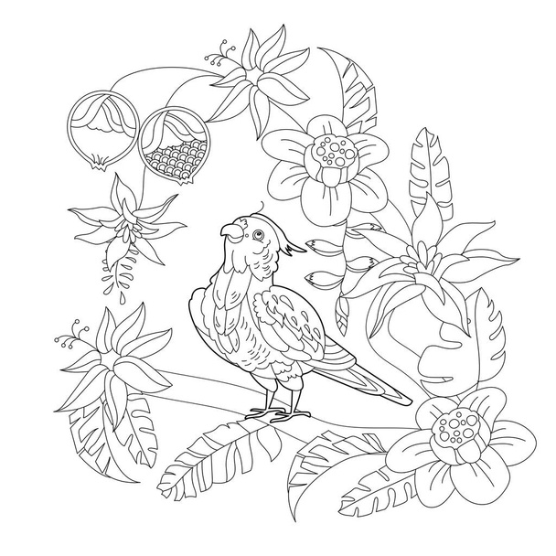 Contour linear illustration for coloring book with paradise bird in flowers. Tropic parrot,  anti stress picture. Line art design for adult or kids  in zen-tangle style, tattoo and coloring page. - Вектор,изображение