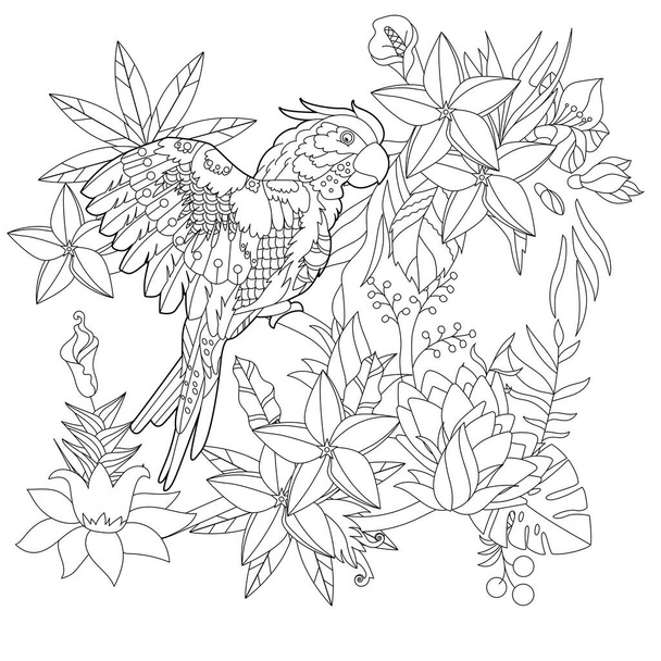 Contour linear illustration for coloring book with paradise bird in flowers. Tropic parrot,  anti stress picture. Line art design for adult or kids  in zen-tangle style, tattoo and coloring page. - Vecteur, image